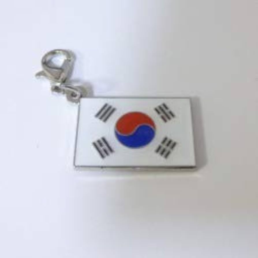 バッジ　韓国　国旗　KOREA 楽天市場】〈缶バッジ〉大韓民国 国旗 Mサイズ 直径44mm (ソウル